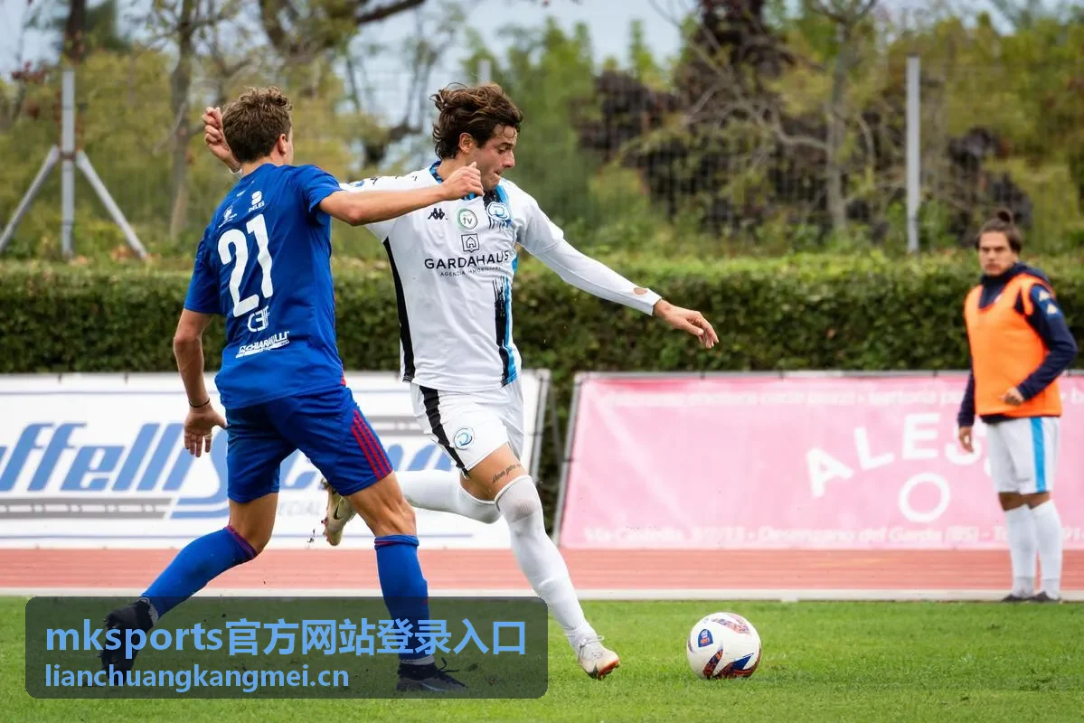 mksports官方网站登录入口安全保障